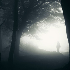 SHADOWS OF TIME