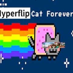 Hyperflip Cat