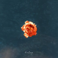 bailey - Healing