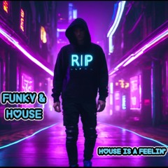 Funky & House Mix 2024 🔥 Mark Knight | David Penn | Cassimm 🔥 House is a Feelin'
