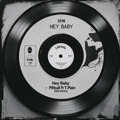 Hey Baby - Pitbull ft. T-Pain (STIN REMIX)