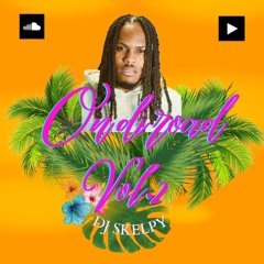 ON DI ROAD VOL.2 - DJ SKELPY