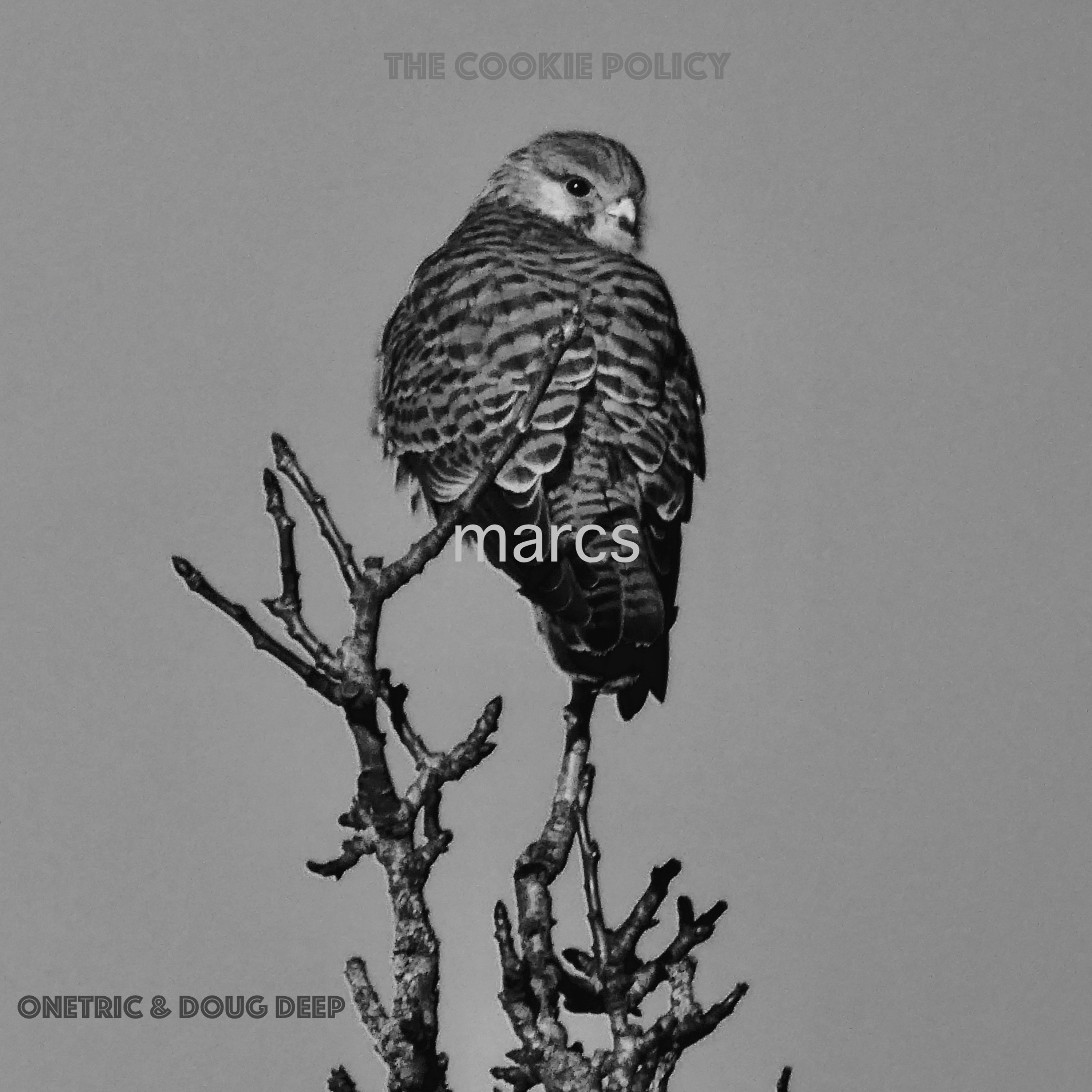 Marcs episode artwork