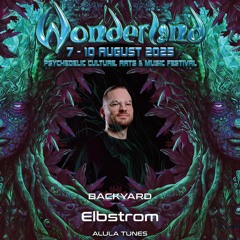 Elbstrõm @ Wonderland Festival 2025