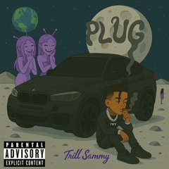 Plug
