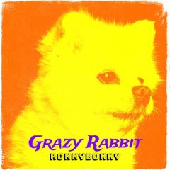 Grazy Rabbit