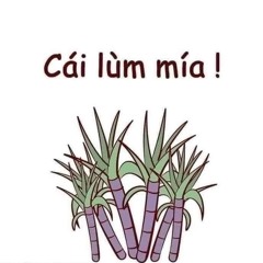 NGƯỜI YÊU CŨ QUAY LẠI | VƯƠNG LÂM 🐧