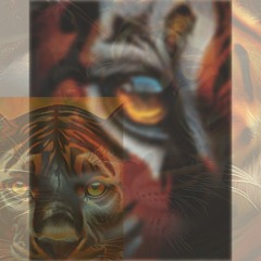 Tiger Eye