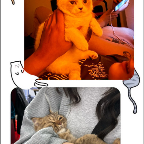 Dawn- 74.N.3 ft kngan ( PROD. BY L'espace )