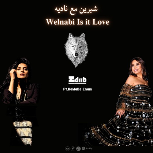 Shereen Ft. Nadia Ali - Welnabi Is it Love Zdiib Remix 🔥 أروع ريمكس - شيرين مع ناديه 2024