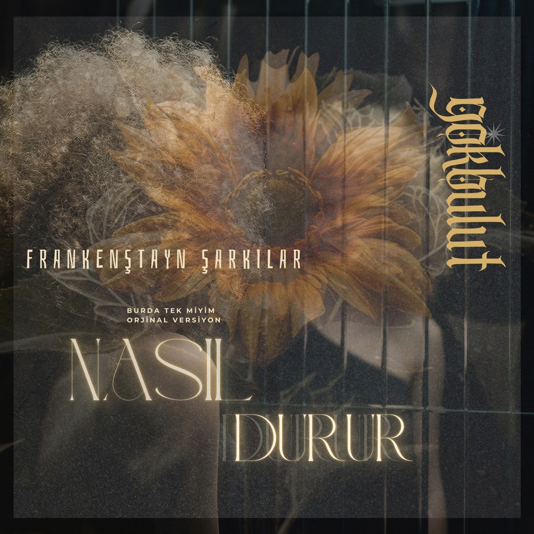 Stream Nasıl Durur (Original Remastered) by Gökbulut | Listen online ...