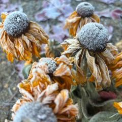 Winter Solstice Meditation