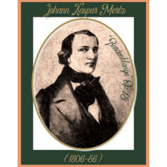 Unruhe Op.13 J. K. Mertz - I. M. Regazzo (2025) HD
