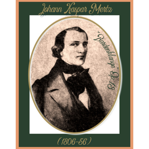 Unruhe Op.13 J. K. Mertz - I. M. Regazzo (2025) HD