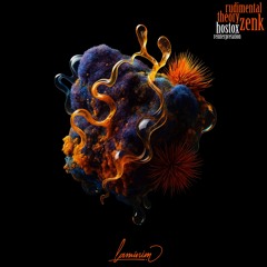 Zenk - Rudimental Theory