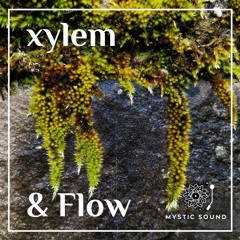 Xylem - Meditations On Water & Wind