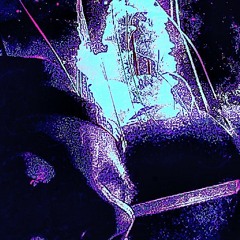 Sapphire Rose Freestyle (prod by Equilibrium )