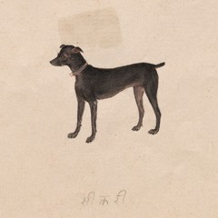 all my songs here on soundcloud