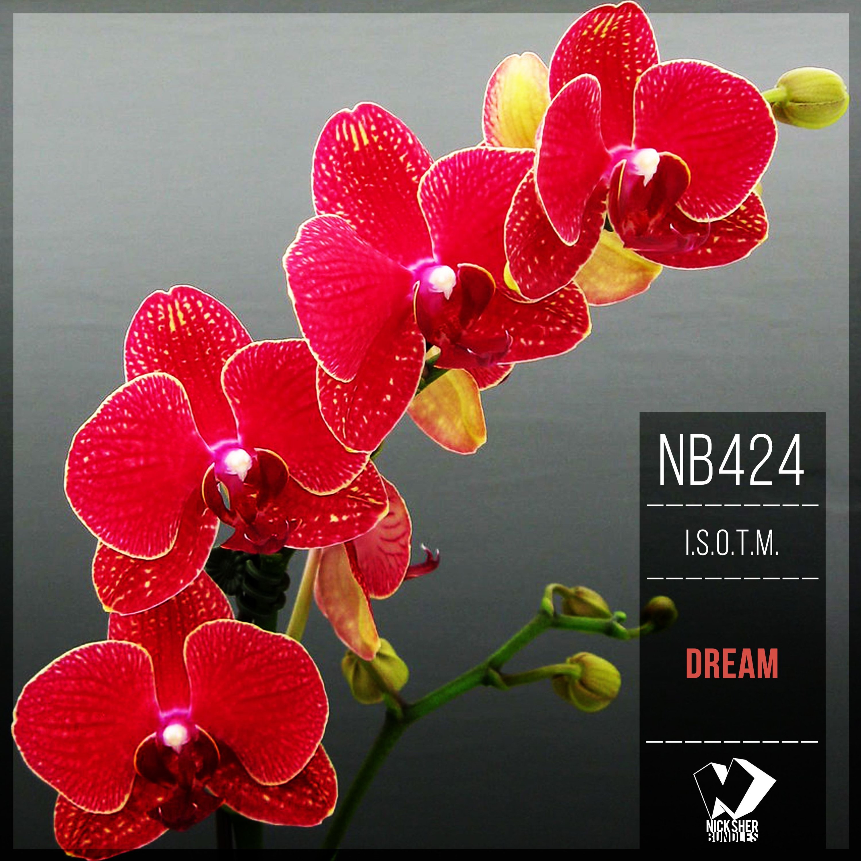 I.S.O.T.M. - Dream (Original Mix) episode artwork
