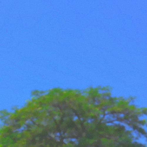 クリアー sky