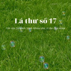 Lá thư số 17 - Gửi cậu từ hành trình khám phá vĩ đại của mình