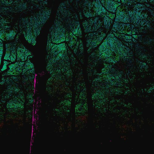 Training Set #1 - Forest Progressive 140 bpm