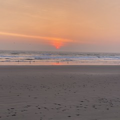 🏝