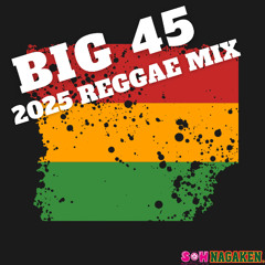 NAGAKEN MIX JUN(BIG 45)2025 REGGAE MIX