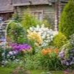 Combyhone [Heel•xavsobased•hartofalion•chiefkeef]