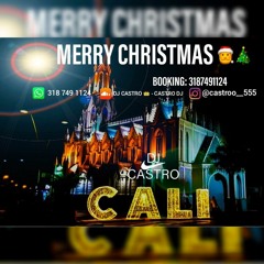 MERRY CHRISTMAS🎅🏻🎄 (CASTRO DJ)