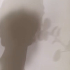 spring poem Acoustic