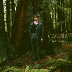 David Kushner - Daylight (Amice Remix)