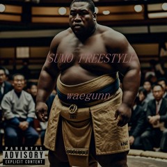 SUMO FREESTYLE