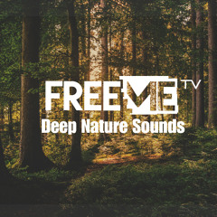 FreeMe TV - Deep Nature Sounds From Nigeria