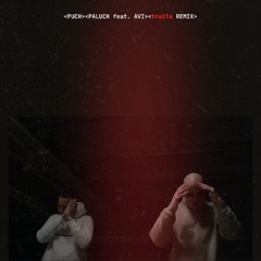 PALUCH feat. AVI - PUCH - trails REMIX