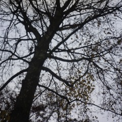 Blear Moon - Netlabels Was