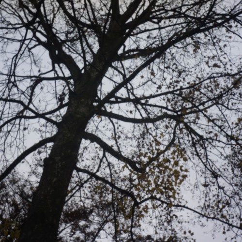 Blear Moon - Netlabels Was