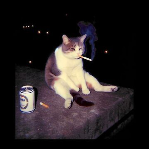 ripxeia x preston hernandez - pretend