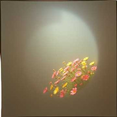 MAL DE OJO (Reversión)