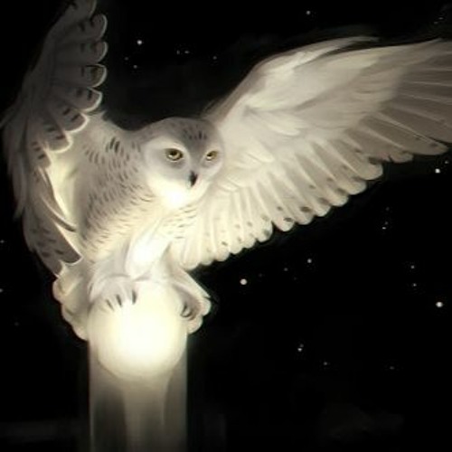 Mental owl - Imagination is Free