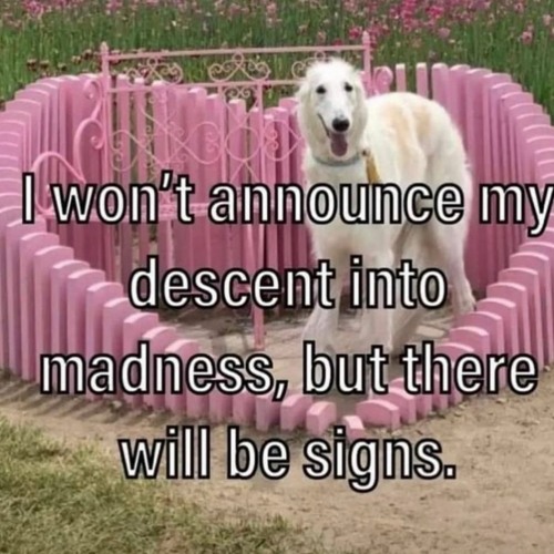 Stream dj thumbs Listen to june 2023 why is it so hot in texas