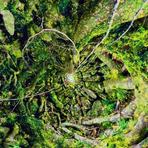 B.e.n. - "Psychedelic Bliss" - Part 7/7 ( Psy-Progressive² ) - 18h mix of Ultimate Trance Experience