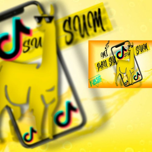 MI PAN SU SU SU SUM CANCIÓN [TIK TOK] - DJ KASS