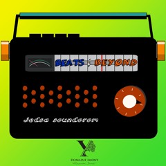 BEATS & BEYOND - WILD1 RADIO
