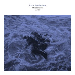 Fax & Braulio Lam - Insomnia