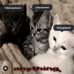 anything ft. satomeow, ritualrackz