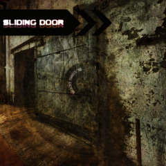 Sliding Door