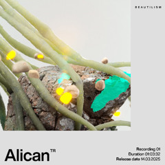 Beautilism Recording with Alican - 14.03.25