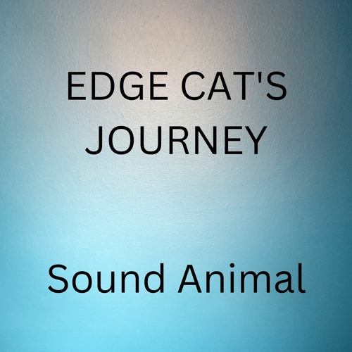 Edge Cat's Journey