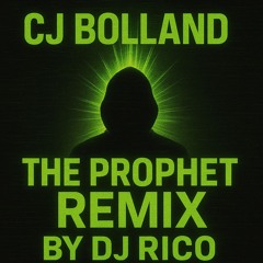 CJ Bolland - The Prophet (Dj Rico)